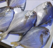恒興食品 原條金鯧魚(yú)凈重2斤/4條裝 BAP認證海鮮生鮮深海魚(yú)火鍋食材  曬單實(shí)拍圖