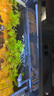 當(dāng)貝智能生態(tài)魚(yú)缸1Ultra 一體缸自循環(huán)雙過(guò)濾AI托養(yǎng)懶人家用桌面魚(yú)缸 曬單實(shí)拍圖