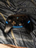 機(jī)械師G5proV2 無(wú)線(xiàn)藍(lán)牙游戲手柄 switch pro類(lèi)xbox手柄 有線(xiàn)電腦PC手機(jī)NSteam手柄典藏 明末淵虛之羽 曬單實(shí)拍圖