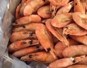 禧美海產(chǎn)北極甜蝦500g（65-85只） 曬單實(shí)拍圖
