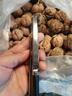 JCZS德國品牌開(kāi)核桃神器山核桃?jiàn)A子家用堅果榛子夏威夷果開(kāi)殼器剝胡桃 【橙色】四夾口升級防滑款(大小 曬單實(shí)拍圖
