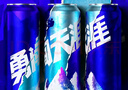 雪花啤酒【100萬(wàn)+人已購(gòu)】勇闖天涯 500ml*24聽(tīng) 清爽經(jīng)典實(shí)惠 大規(guī)格 曬單實(shí)拍圖