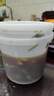船小宇酸辣海蜇頭1000g/桶下酒菜開(kāi)蓋即食涼拌菜脆爽可口 酸辣海蜇頭1kg*2桶 曬單實(shí)拍圖