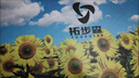拓步森拓步森M2626向陽(yáng)花時(shí)尚女鞋健步鞋運動(dòng)鞋振動(dòng)按摩減震厚底老爹鞋 咖啡粉 37 曬單實(shí)拍圖
