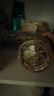 貢苑 甘肅岷縣當歸片105g 無(wú)硫當歸頭切可磨粉泡水搭黃芪紅枸杞黨參 曬單實(shí)拍圖