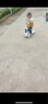 貝趣兒童滑板車(chē)1-3-6-12歲寶寶可坐滑滑車(chē)幼兒男孩女孩小孩踏板車(chē) 白【悍馬輪+燈光音樂(lè)+一鍵折疊】 防側(cè)翻2歲兒童車(chē)六一兒童節(jié)禮物 曬單實(shí)拍圖