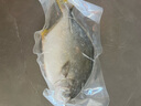 翔泰海南深海金鯧魚(yú)700g 2條 火鍋 生鮮魚(yú)類(lèi) BAP認證 海鮮水產(chǎn) 中秋 曬單實(shí)拍圖
