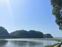山東黃金金盈珠1gAu9999投資金 投資黃金金豆攢金 生日禮物 投資收藏 曬單實(shí)拍圖