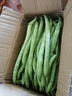 高山四季豆新鮮應季蔬菜豆角豆青現摘現發(fā)炒熟食用京東物流 帶箱3斤 曬單實(shí)拍圖