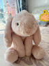 Jellycat史瑪吉兔子動物毛絨玩偶陪伴安撫公仔生日七夕情人節(jié)禮物復(fù)活節(jié) 史瑪吉兔子 Small 曬單實拍圖