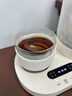 olayks立時 養(yǎng)生壺迷你 煮茶器 恒溫水壺 燒水煮茶加熱杯墊蒸汽噴淋式蒸茶壺?zé)踔髩剞k公室0.8L OLK-TK01 曬單實拍圖