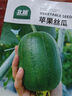 北蔬 蘋(píng)果絲瓜種子種苗菜瓜籽陽(yáng)臺盆栽種植 蘋(píng)果絲瓜種子8粒 曬單實(shí)拍圖