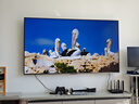 東芝電視小芝士Z600QF PRO 音畫雙芯MiniLED 火箭炮SOUND 300Hz 4K超清 以舊換新 家電國(guó)家補(bǔ)貼 75英寸 75Z600QF PRO 曬單實(shí)拍圖