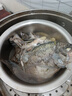 GUO LIAN國聯(lián)水產(chǎn)三去羅非魚4條共2.8斤凈重非洲鯽魚水產(chǎn)生鮮食材源頭直發(fā) 曬單實拍圖
