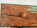 AOC 26.5英寸2K 原生240Hz QD-OLED 原生10Bit 0.03ms HDR 硬件低藍光 電競游戲FPS顯示器 Q27G41ZDF 曬單實拍圖
