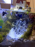 萌嘟星寵魚(yú)缸造景發(fā)泡膠沉木色水族箱泡沫膠假山裝飾雕刻雨林缸泡沫900g 曬單實(shí)拍圖