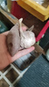 京鮮生臨安天目山小香薯 5斤  約30-50g單果 香甜軟糯皮薄無筋 源頭直發(fā) 曬單實(shí)拍圖
