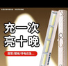 心有所屬（Heart LocK）充電式應急照明燈戶(hù)外露營(yíng)磁吸led燈泡手電筒專(zhuān)用擺攤地攤夜市燈 曬單實(shí)拍圖