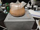 藏壺天下宜興名家純手工原礦紫砂壺小容量中式茶具一人用泡茶壺 南瓜壺 270ml 曬單實(shí)拍圖