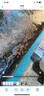 依華萊斯錦鯉自動(dòng)喂魚(yú)器智能定時(shí)喂食器戶(hù)室外大小魚(yú)池專(zhuān)業(yè)投料器喂魚(yú)神器 4升雙電款/定時(shí) 曬單實(shí)拍圖