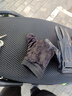 啄木鳥皮手套男冬季騎行加絨觸屏開車戶外摩托車防風(fēng)保暖外賣棉滑雪手套 三線款 加絨防風(fēng)防水 曬單實(shí)拍圖