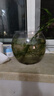 飛達(dá)三和圓形魚(yú)缸塑料一體成型仿玻璃防摔耐摔不壞客廳小型桌面生態(tài)缸 中號(hào)【超清8K高透/摔不碎/久用不糊】 曬單實(shí)拍圖
