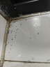 地依貓螞蟻藥方便貼家用室內滅小黃螞蟻白蟻全窩除紅火蟻端一鍋殺蟻餌劑 曬單實(shí)拍圖