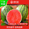 京覓 山東2K糖丸小吊瓜西瓜 水果 凈重4-5斤2枚裝 源頭直發(fā) 包郵 曬單實(shí)拍圖