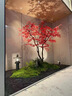 仿真楓葉樹大型綠植室內(nèi)設計裝飾假樹櫥窗造景紅楓樹雞爪槭 定制景觀 曬單實拍圖