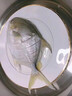 【JD&順豐】鯧魚(yú) 金鯧魚(yú) 新特大號金鯧魚(yú)新鮮海捕平魚(yú)金昌魚(yú) 凈重無(wú)冰 10條【送禮】 800-900g/條 家庭裝 曬單實(shí)拍圖
