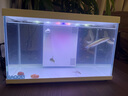 喜高超白玻璃魚缸智能魚缸免換水小型客廳水族箱一體式過濾氧氣魚缸 白-魚缸標(biāo)配 380*210*245mm 曬單實(shí)拍圖