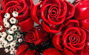 樂(lè )高（LEGO）積木拼裝10328 玫瑰花束永生花男孩女孩玩具生日禮物 曬單實(shí)拍圖