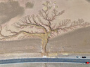 閃迪存儲(chǔ)卡行車記錄儀內(nèi)存卡TF卡MicroSD卡無人機(jī)運(yùn)動(dòng)相機(jī)卡  至尊極速 256G【聯(lián)系客服送讀卡器】 190M/S 曬單實(shí)拍圖