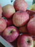 京鮮生 山東煙臺紅富士蘋(píng)果 凈重9斤 果徑80mm+ 新鮮水果 源頭直發(fā) 曬單實(shí)拍圖