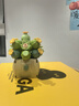 樂(lè )高（LEGO）積木拼裝40725 櫻花男孩女孩兒童玩具生日禮物 曬單實(shí)拍圖