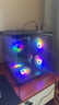 技嘉 酷睿i5 13400F臺式組裝電腦主機RTX4060Ti/5060Ti游戲高端電競獨顯直播設計渲染整機 配置三：14代酷睿i5丨暢玩3A 曬單實(shí)拍圖