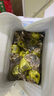 鮮海道 鮮活乳山生蠔5XL 凈重5斤 9-12只 生鮮海鮮貝類(lèi) 源頭直發(fā) 曬單實(shí)拍圖