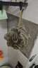 范爺家2個(gè)裝漸變沐浴球大號不散浴花超柔軟學(xué)生浴球花洗澡球洗浴神器 曬單實(shí)拍圖