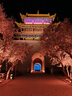 SecretWorld男士?jì)妊漚類(lèi)莫代爾純棉襠短褲100全棉高端正品防陰囊潮濕大碼褲頭 曬單實(shí)拍圖