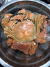 【活蟹】鮮活螃蟹蘇州大閘蟹禮盒裝產(chǎn)地直發(fā)中秋蟹禮節日生鮮禮物 合家歡樂(lè )精品禮盒裝【公3.5兩 母2.5兩 4對8只】 曬單實(shí)拍圖