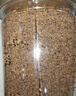 福東海菟絲子茶250g 內蒙古兔絲子 搭沙苑子五味子茶水男性滋補品泡酒料 曬單實(shí)拍圖