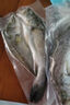 鮮京采三去海鱸魚(yú)3斤/3條 生鮮魚(yú)類(lèi) 白蕉鱸魚(yú)地標 無(wú)冰凈重3斤 源頭直發(fā) 曬單實(shí)拍圖