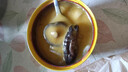 胖·東來同款佛跳墻加熱即食正宗鮑魚海參金湯罐裝煲湯送禮禮盒裝 251g 刺參佛跳墻【燉盅】 雙享【2人份】 曬單實拍圖