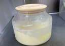 OIDIRE 酸奶機 家用全自動(dòng)酸奶發(fā)酵機納豆機米酒機泡菜機小型智能恒溫發(fā)酵機玻璃內膽+玻璃分杯 ODI-SA23 曬單實(shí)拍圖