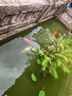 悍途（HUMTTO）夏季戶外溯溪鞋網(wǎng)面透氣徒步鞋男舒適網(wǎng)面鞋涉水鞋 黑色 41 曬單實拍圖