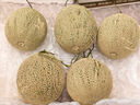 京鮮生蜜蜂授粉牛三蜜瓜網(wǎng)紋瓜凈重4.5-5斤 2-3粒 中秋禮品源頭直發(fā) 曬單實(shí)拍圖