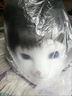 拉迪圖k系獸頭成品獸裝原創(chuàng  )獸頭kig洛麗塔定制頭套可愛(ài)穿戴cos耳朵兒童 女成品隨機獸頭【可參加漫展】 曬單實(shí)拍圖