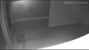 地依貓粘鼠板超強(qiáng)威力大號(hào)加厚滅鼠商家用黏鼠貼抓捉捕老鼠粘鼠板10片 曬單實(shí)拍圖