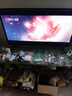 志高【補貼30%】新款無(wú)邊框電視機液晶大屏幕客廳巨幕高清家用平板彩電臥室智能網(wǎng)絡(luò )無(wú)線(xiàn)wifi投屏護眼 43英寸 高清網(wǎng)絡(luò )版 曬單實(shí)拍圖