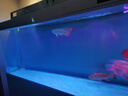 海甲衛(wèi)（HAKAWIN）魚缸氧氣泵超靜音氧氣泵魚缸小型家用增氧泵大氣量 AT-771 曬單實(shí)拍圖